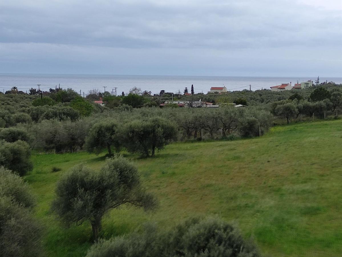 Villa Onari Alexandroúpoli Eksteriør bilde